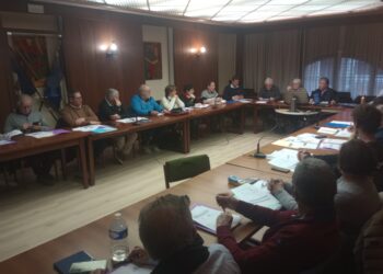 Réunion du GAL Coteaux Nestes mercredi 22 janvier mairie de Lannemezan Salle du conseil